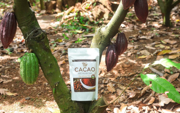 bot-cacao-nam-truong-son-1